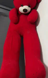 عروسک خرس با اندازه یک متر و پنجاه و پنج