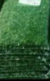 انواع سبزی خرد شده با بهترین کیفیت