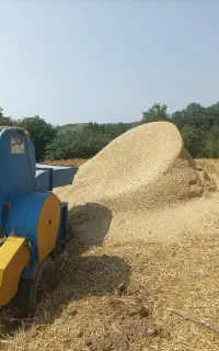 کاه نرمه فروشی