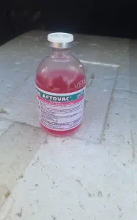 واکسن تب برفکی