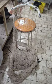 تور نخی
