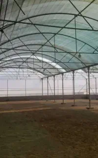 توری شید گلخانه‌ای مستقیم از تولیدی با دوخت سفارشی