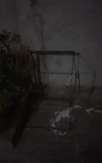 قفس بزرگ دارم باکوچیک معامله میکنم