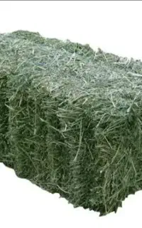 فروش یونجه پرس