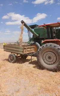 کاه پرس شده گندم