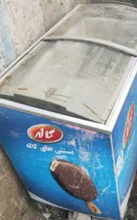 فریزر صندوقی