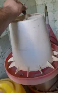 دان خوری آب خوری پرندگان