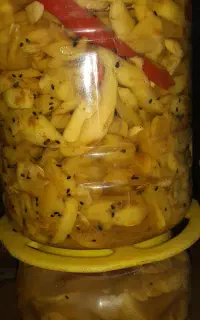 ترشی انبه