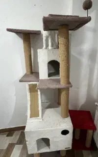 اسکرچر گربه