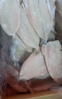 فیله ماهی