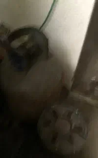 یک عدد پرسی گاز
