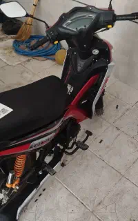 پانیک همتاز