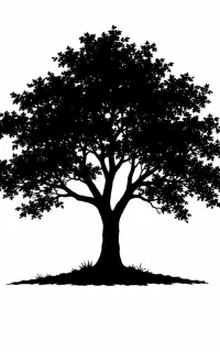 طراحی پوستر و ویرایش حرفه‌ای عکس