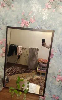 آینه اتاق خواب تک   دور چوب