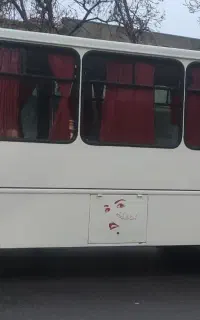 مینی بوس اویکو