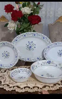 مجموعه ظروف کرایه غذا آماده وآشپزی سیار