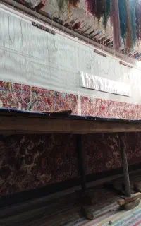 قالی