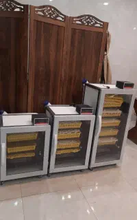 دستگاه جوجه کشی ققنوس هوشمند