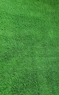 چمن در اندازه 2/5 × 1