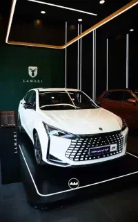 لاماری اکو