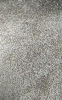 موکت پالاز