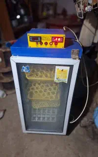 دستگاه جوجه کشی