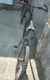 شماره ۲۴