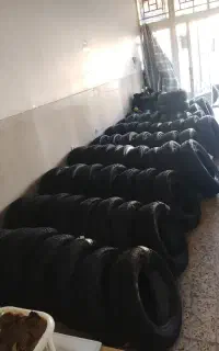 لاستیک انواع سواری تا نیسان