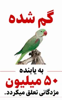شاه طوطی گمشده هپی مژدگانی ۵۰ میلیونی