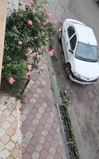 تندر 90 اتومات