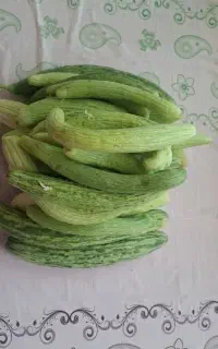 خیار چنبر تازه و دیم