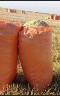 خریدار کاه