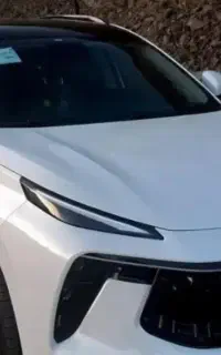 لاماری سفید صدفی
