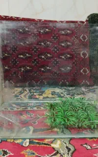آکواریوم با پمپ فقط 1700