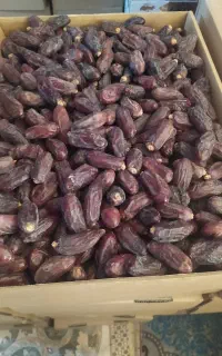 خرمای ربی کلیوی 130
