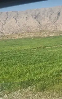 استخدام آبیار کشاورزی