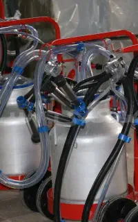 دستگاه شیردوش گاو صنعتی مناسب دامداری CowMilk-Pro