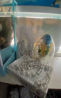 دسته گل و قند ونبات