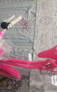 دوچرخه 20به فروش می رسد