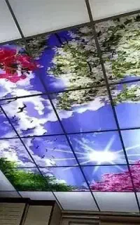 نقاشی و رنگ آمیزی ساختمان ،پتینه کاری، گچبری، کناف