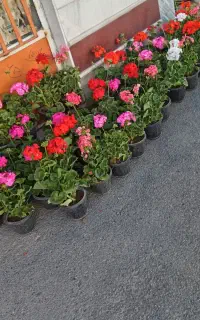 تو دعوت شده‌ای به «سرزمینِ وجود»