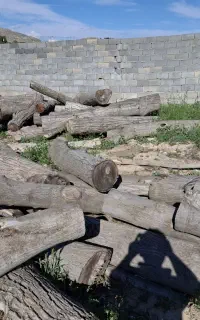 خرید چوب