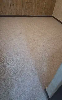 پالاز موکت