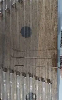 آموزش سنتور برای بانوان