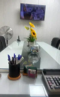 حساب دار. خانوم