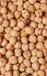 نخود فروشی 600 کیلو