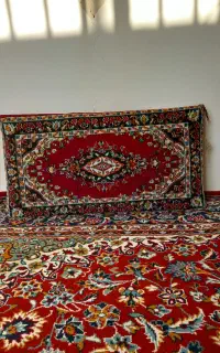 یه جفت پشتی کم کار سالم