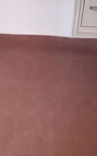 موکت