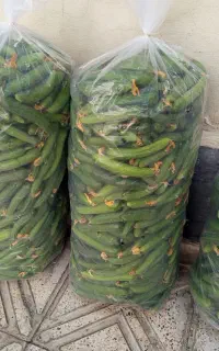 خیارشوری