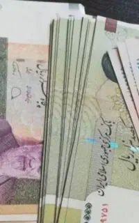 سرمایه گذار